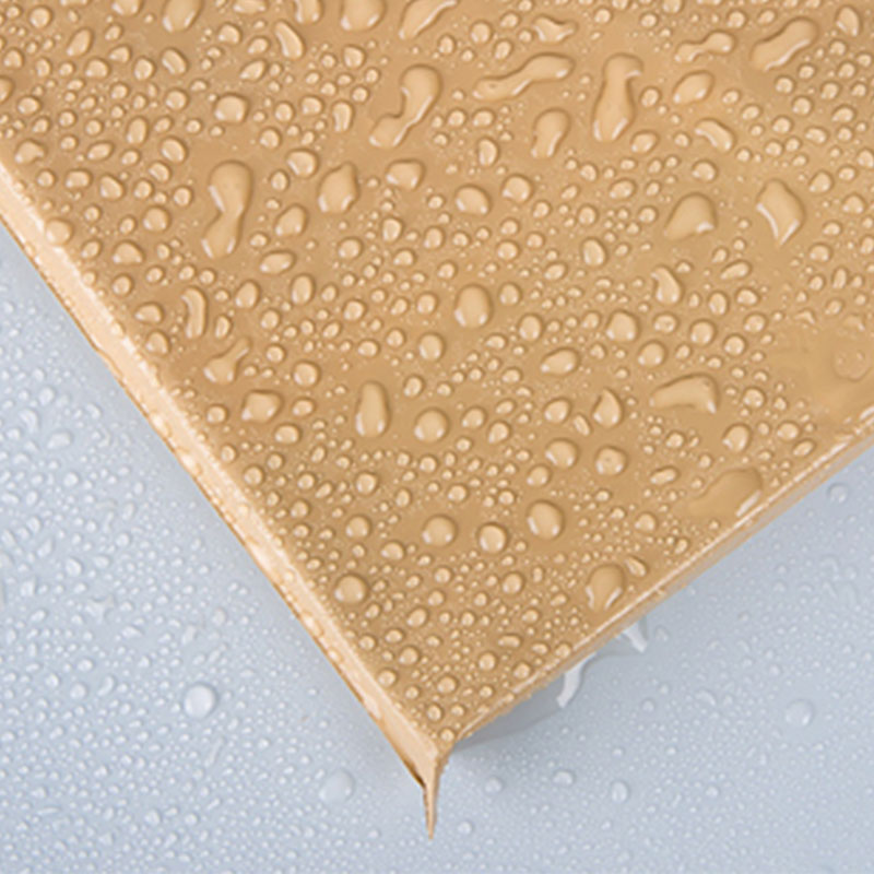 Poly Mailers 