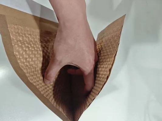 Paper Padded Mailers